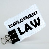 EmploymentLaw2[1]